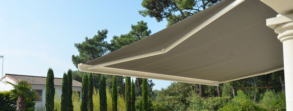 Store banne Kolibri